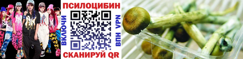 Псилоцибиновые грибы GOLDEN TEACHER  закладки  Нововоронеж 